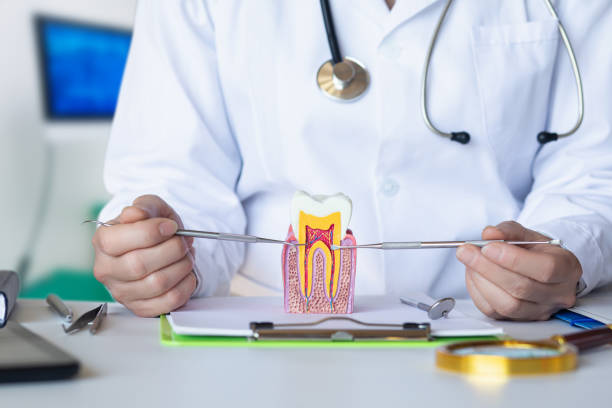 Best Emergency Broken Tooth Repair in , IL
